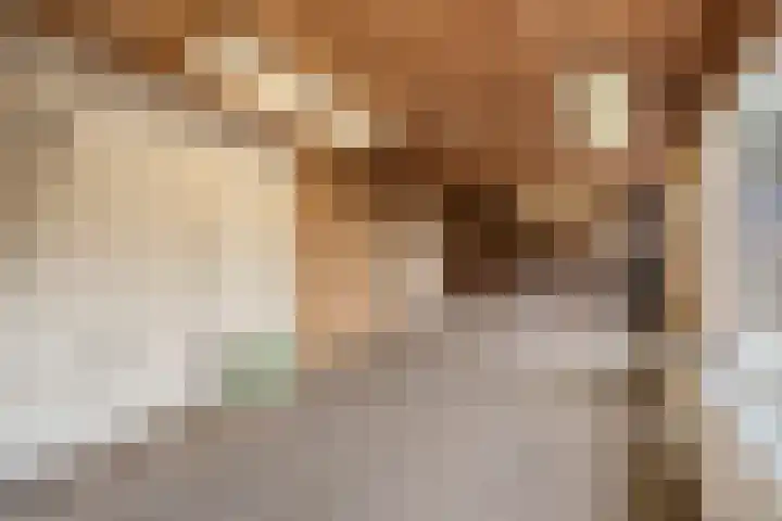 Kloosterdreef 17 Sint-Oedenrode thumbnail 43