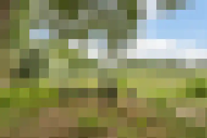 Kloosterdreef 17 Sint-Oedenrode thumbnail 48