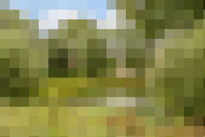 Kloosterdreef 17 Sint-Oedenrode thumbnail 50
