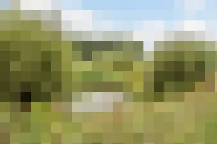 Kloosterdreef 17 Sint-Oedenrode thumbnail 51
