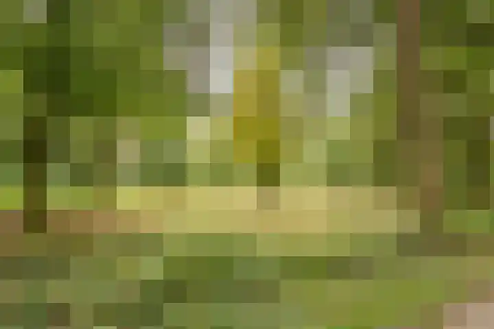 Kloosterdreef 17 Sint-Oedenrode thumbnail 52