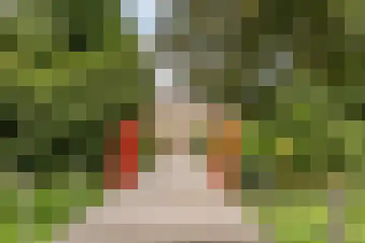 Kloosterdreef 17 Sint-Oedenrode thumbnail 53