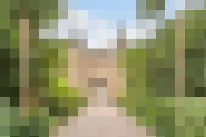 Kloosterdreef 17 Sint-Oedenrode thumbnail 55
