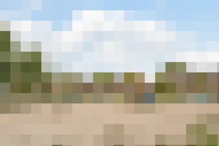 Kloosterdreef 17 Sint-Oedenrode thumbnail 56