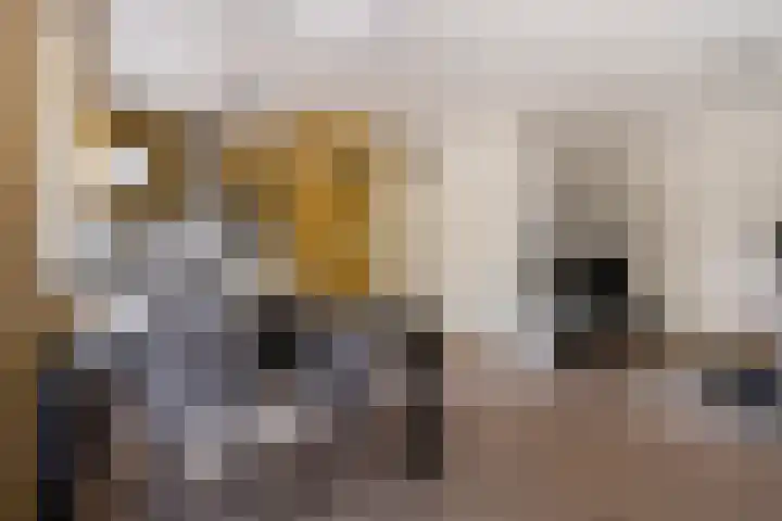 Kloosterdreef 18 A Eindhoven thumbnail 15