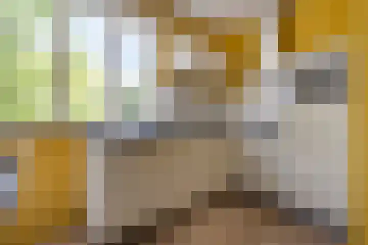 Kloosterdreef 18 A Eindhoven thumbnail 18