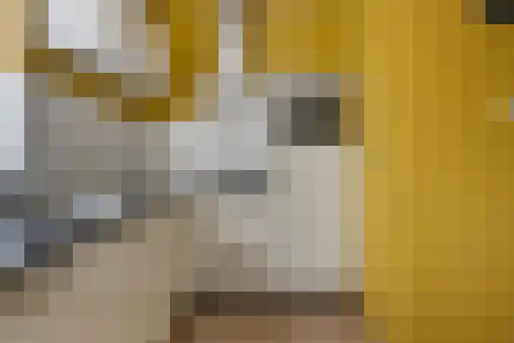 Kloosterdreef 18 A Eindhoven thumbnail 19