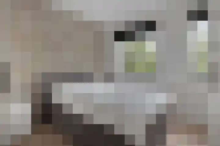 Kloosterdreef 18 A Eindhoven thumbnail 20