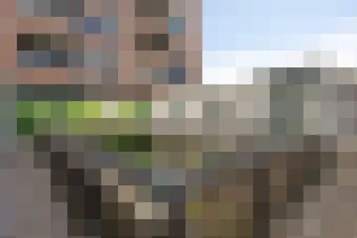 Kloosterdreef 18 A Eindhoven thumbnail 25