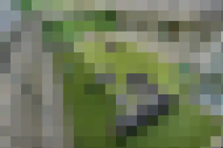 Kloosterdreef 18 A Eindhoven thumbnail 26