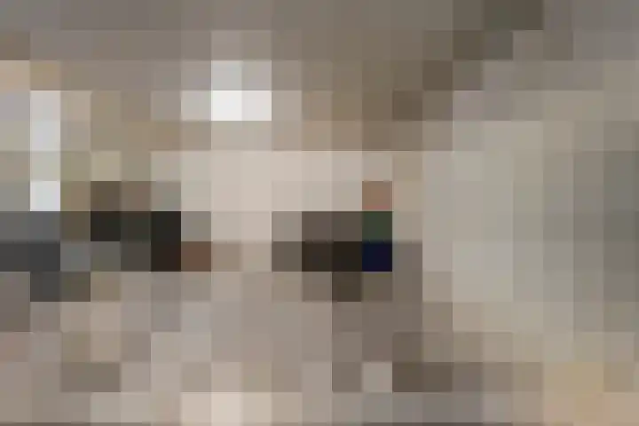 Kloosterdreef 18 A Eindhoven thumbnail 27