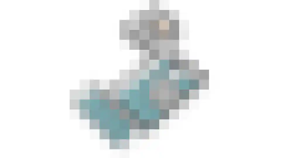 Kloosterdreef 3 a Aarle-Rixtel thumbnail 11