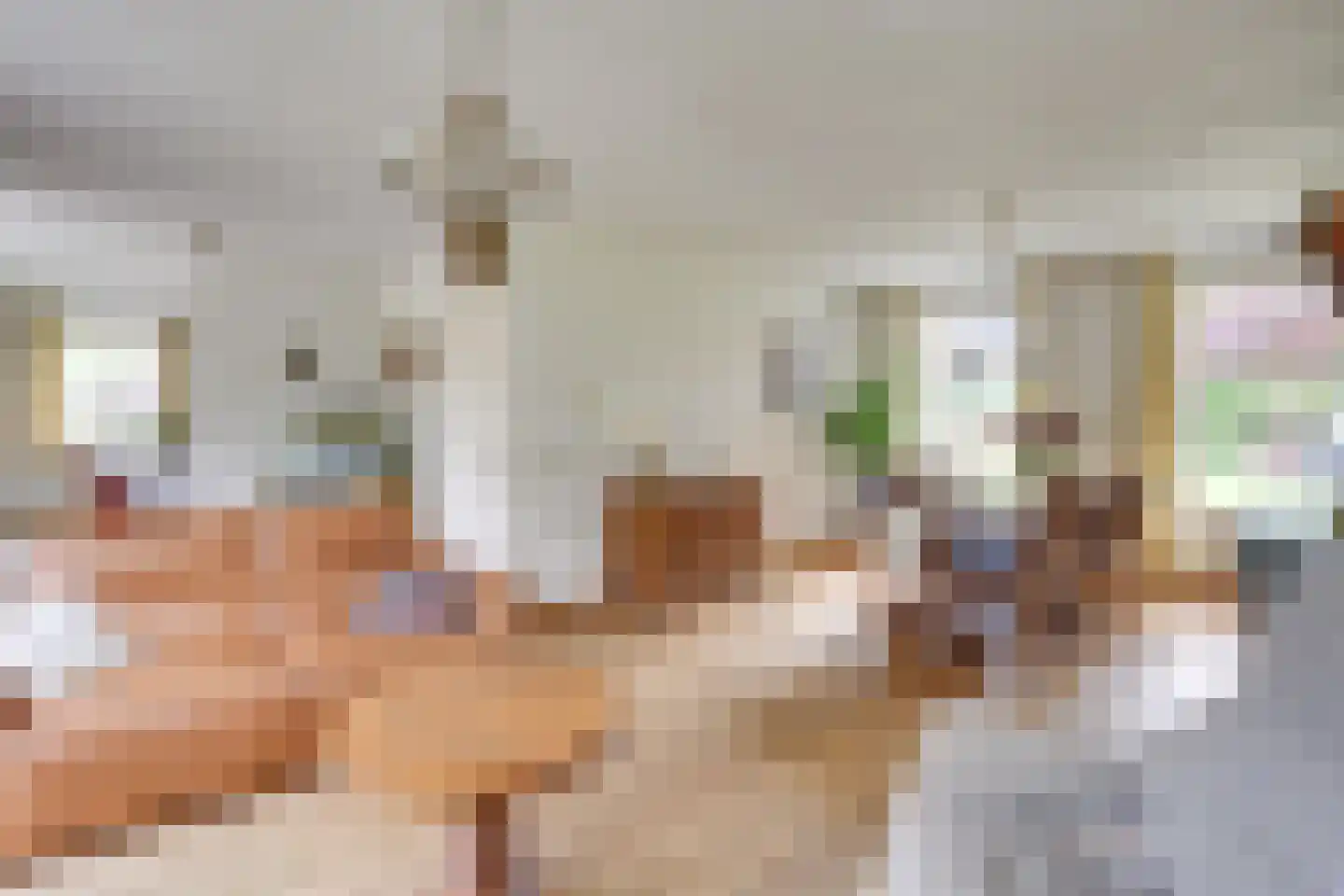 Kloosterdreef 3 a Aarle-Rixtel thumbnail 14