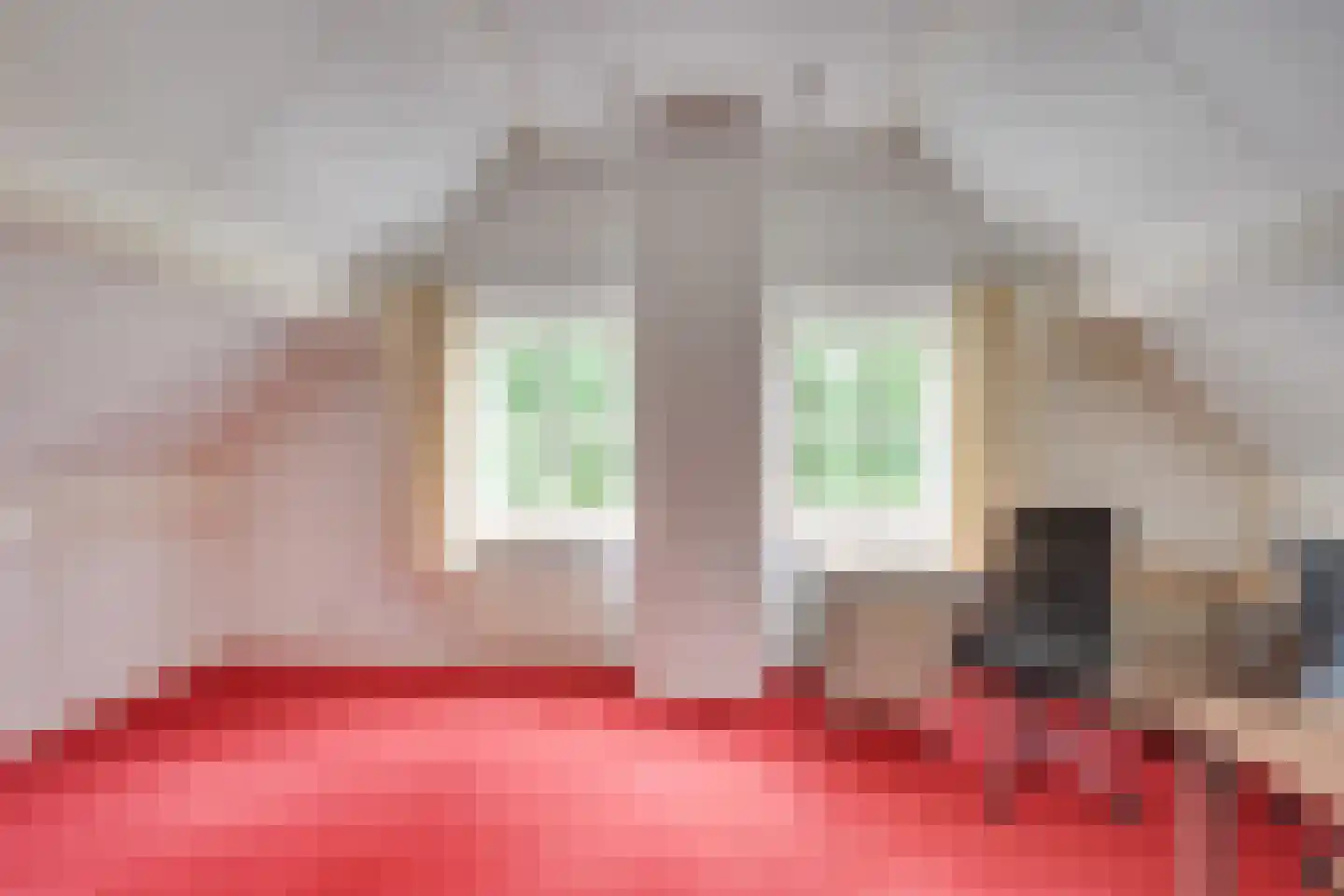 Kloosterdreef 3 a Aarle-Rixtel thumbnail 34