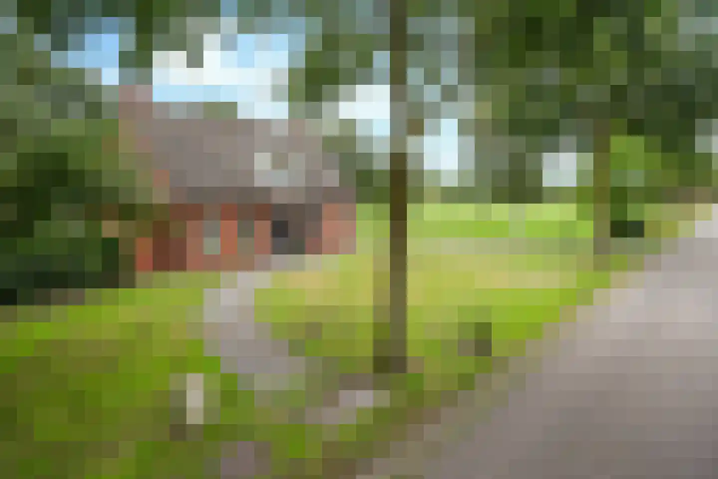 Kloosterdreef 3 a Aarle-Rixtel thumbnail 9