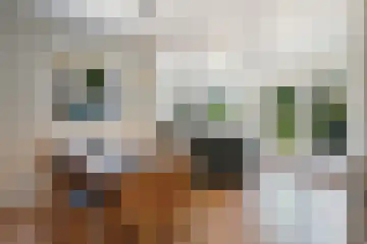 Kloosterdreef 3 Aarle-Rixtel thumbnail 21
