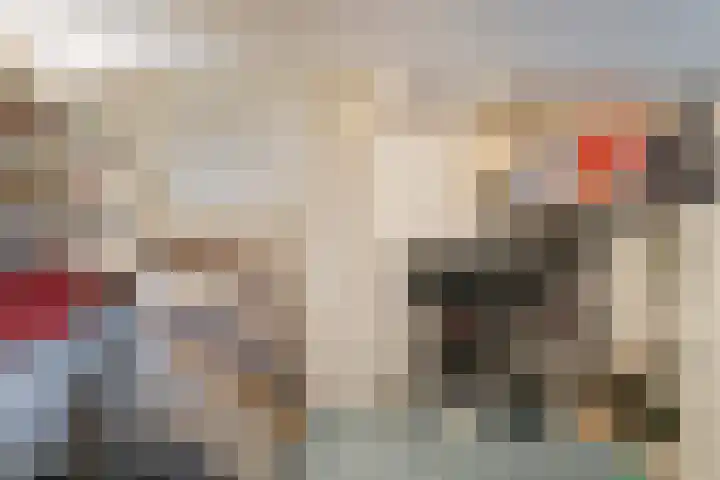 Kloosterdreef 3 Aarle-Rixtel thumbnail 25