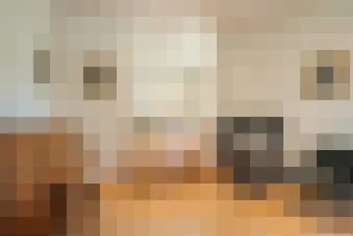 Kloosterdreef 3 Aarle-Rixtel thumbnail 26