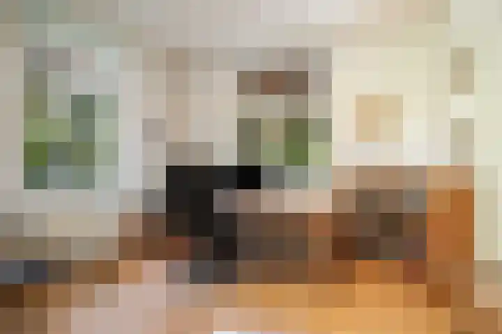 Kloosterdreef 3 Aarle-Rixtel thumbnail 27