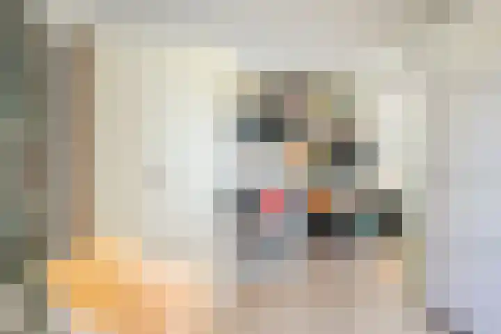 Kloosterdreef 3 Aarle-Rixtel thumbnail 32