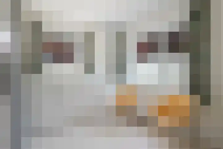 Kloosterdreef 3 Aarle-Rixtel thumbnail 33