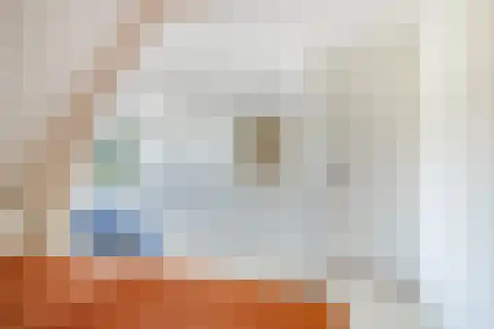 Kloosterdreef 3 Aarle-Rixtel thumbnail 39