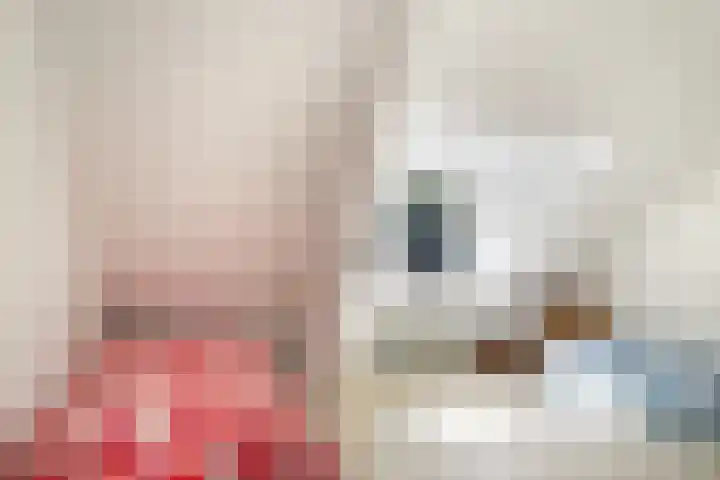 Kloosterdreef 3 Aarle-Rixtel thumbnail 41