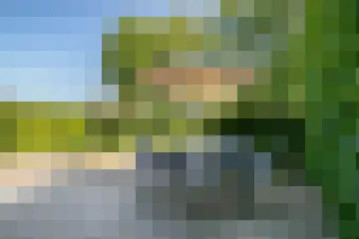Kloosterdreef 3 Aarle-Rixtel thumbnail 49