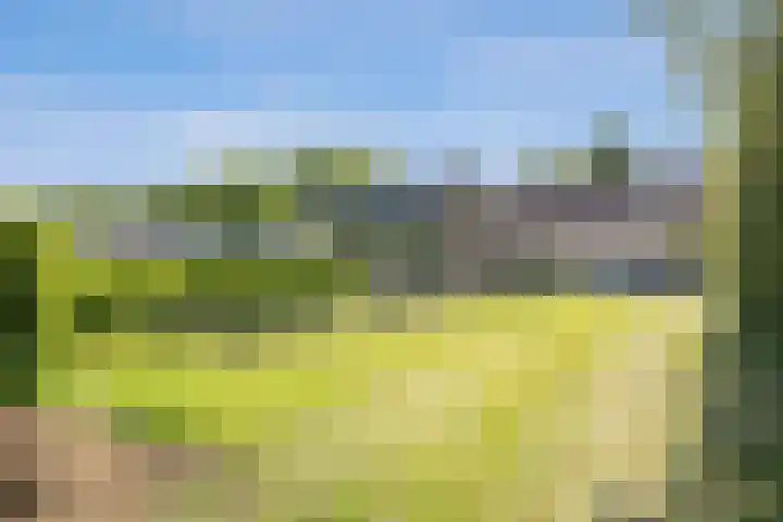 Kloosterdreef 3 Aarle-Rixtel thumbnail 52