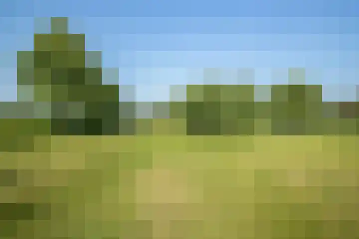 Kloosterdreef 3 Aarle-Rixtel thumbnail 53
