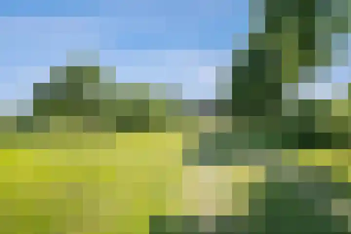Kloosterdreef 3 Aarle-Rixtel thumbnail 60