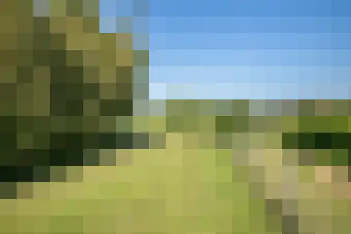 Kloosterdreef 3 Aarle-Rixtel thumbnail 62