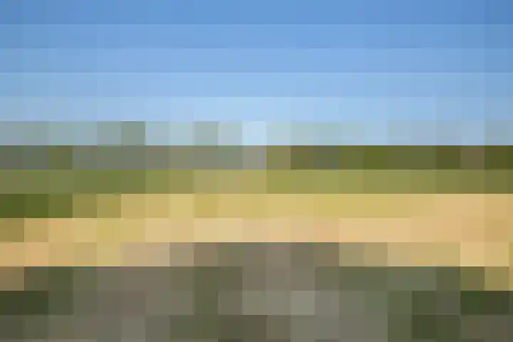 Kloosterdreef 3 Aarle-Rixtel thumbnail 63