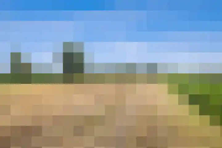Kloosterdreef 3 Aarle-Rixtel thumbnail 64
