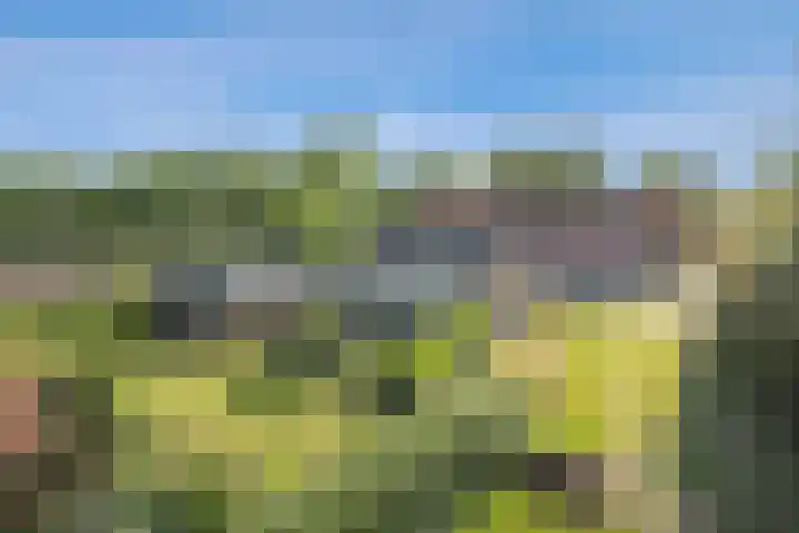 Kloosterdreef 3 Aarle-Rixtel thumbnail 65