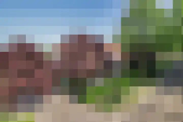 Kloosterdreef 3 Aarle-Rixtel thumbnail 66