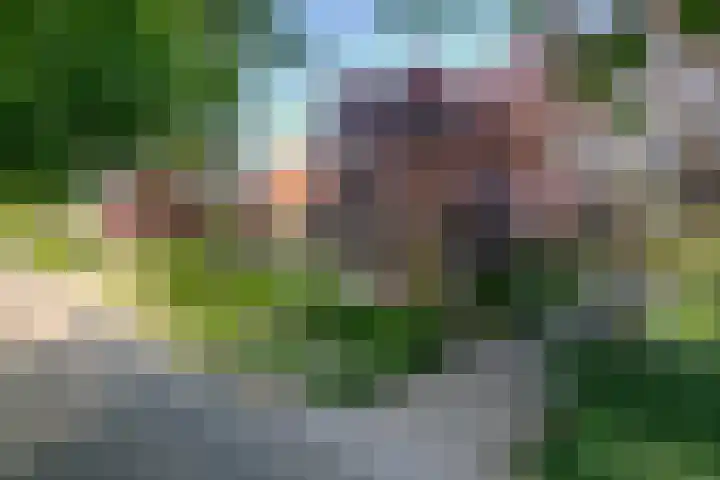 Kloosterdreef 3 Aarle-Rixtel thumbnail 67