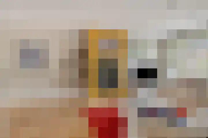 Kloosterdreef 3 Huijbergen thumbnail 10