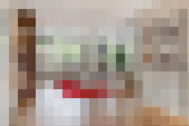 Kloosterdreef 3 Huijbergen thumbnail 11
