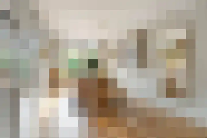 Kloosterdreef 3 Huijbergen thumbnail 13