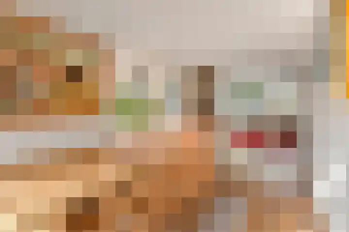 Kloosterdreef 3 Huijbergen thumbnail 14