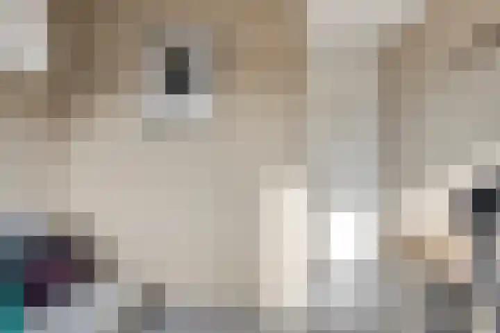 Kloosterdreef 3 Huijbergen thumbnail 27