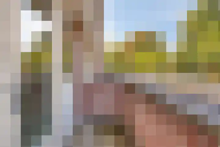 Kloosterdreef 3 Huijbergen thumbnail 30