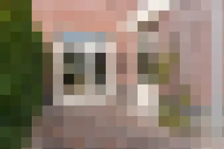 Kloosterdreef 3 Huijbergen thumbnail 36