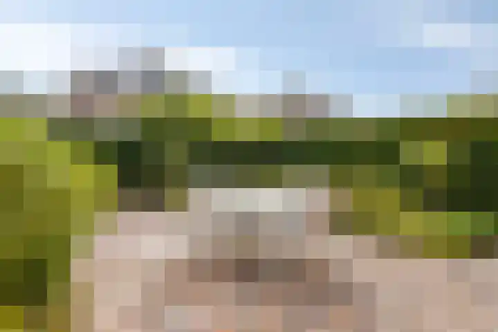 Kloosterdreef 3 Huijbergen thumbnail 38