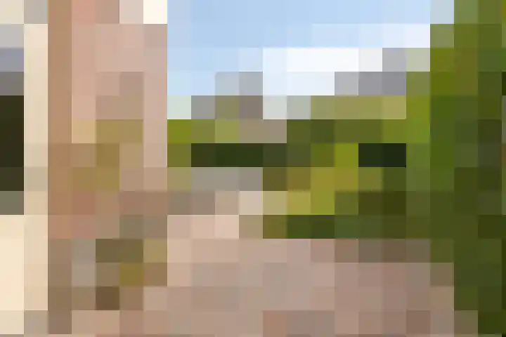 Kloosterdreef 3 Huijbergen thumbnail 39