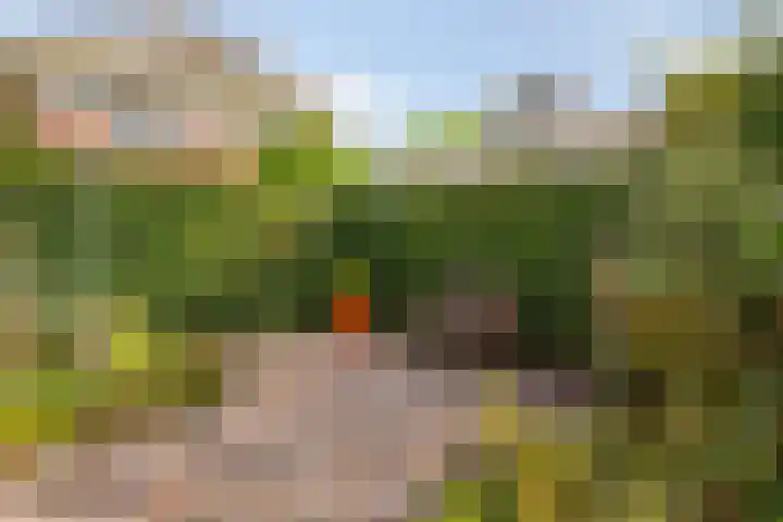 Kloosterdreef 3 Huijbergen thumbnail 40