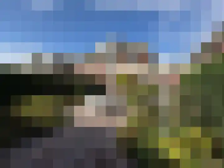 Kloosterdreef 3 Huijbergen thumbnail 41