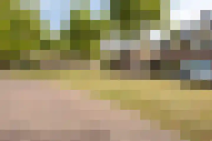 Kloosterdreef 3 Huijbergen thumbnail 46