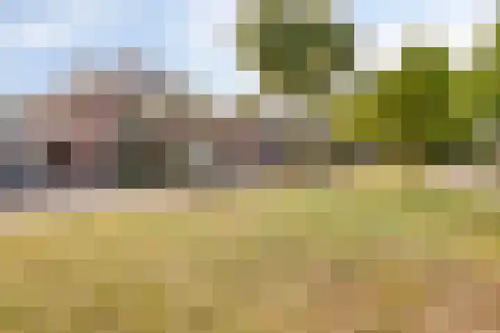 Kloosterdreef 3 Huijbergen thumbnail 47